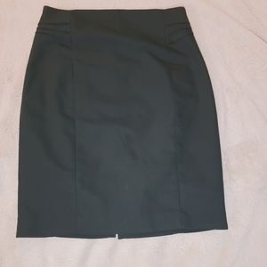 Express| Pencil Skirt